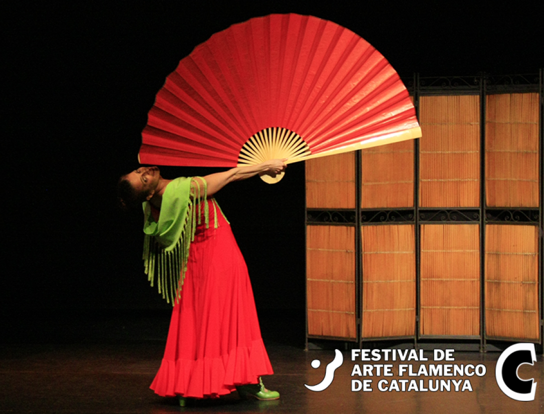 Locura Flamenca
