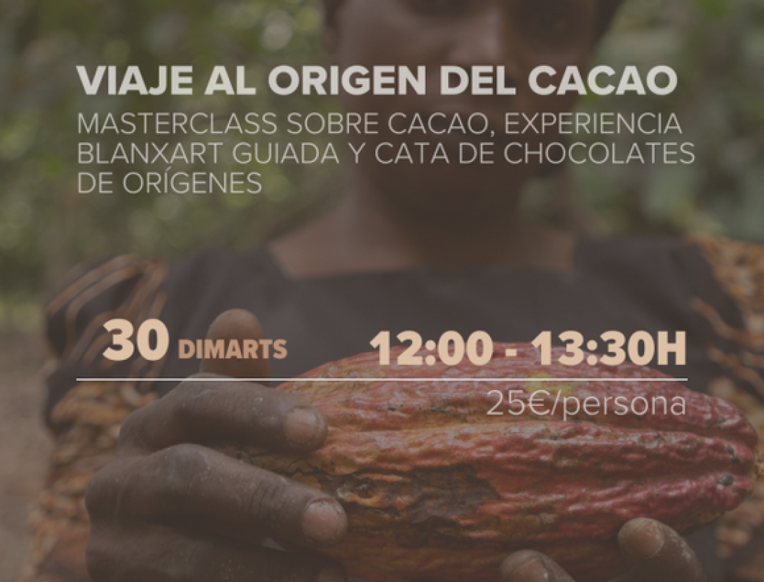 Taller ''Viatge a l'Origen''