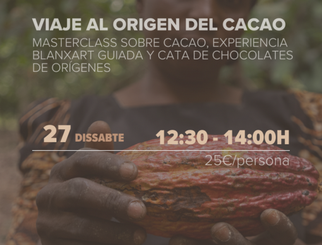Taller ''Viatge a l'Origen''