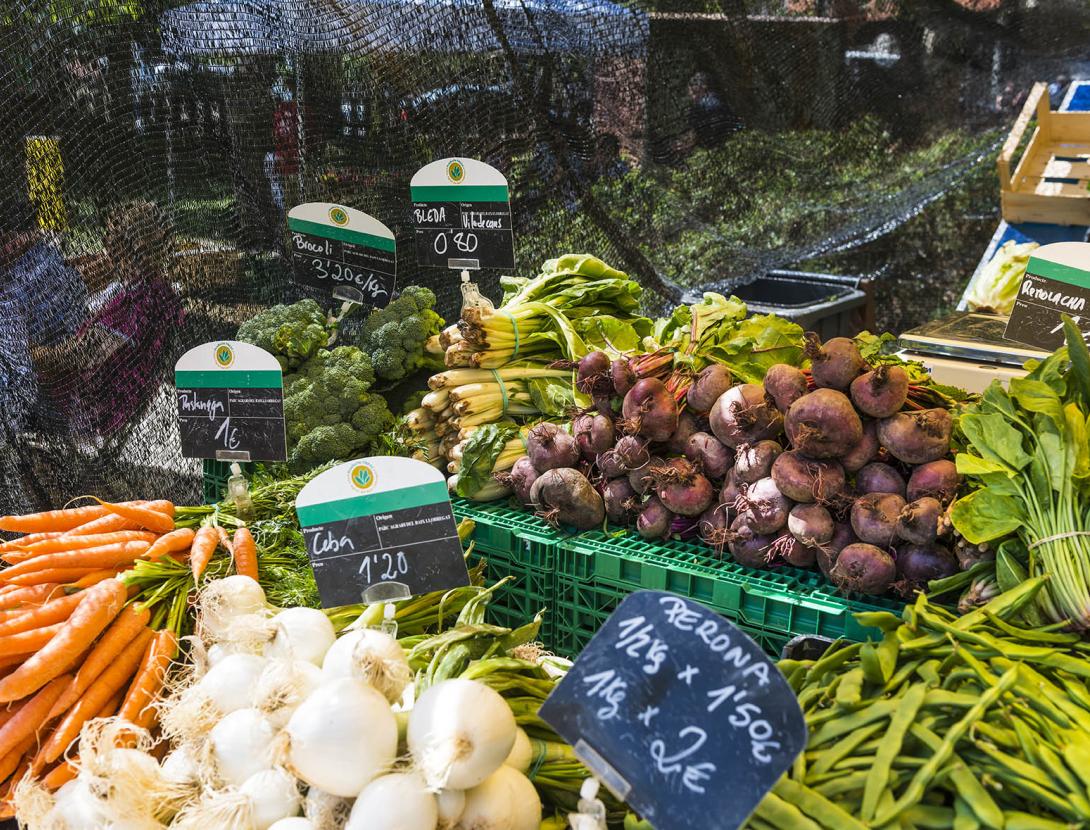 Turisme sostenible amb la Ruta del Tram Descomptes de la Ruta del Tram!