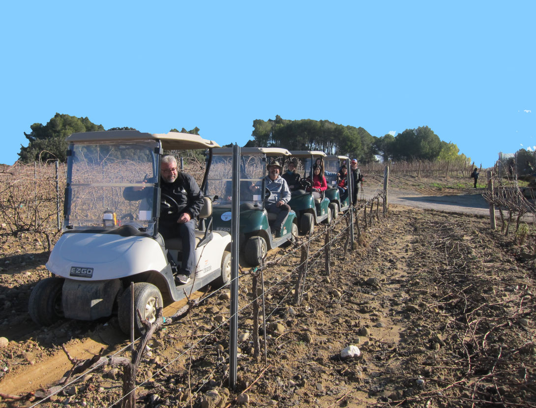 Buggy Vinya. Visita el Celler Can Casals BUGGY VINYA