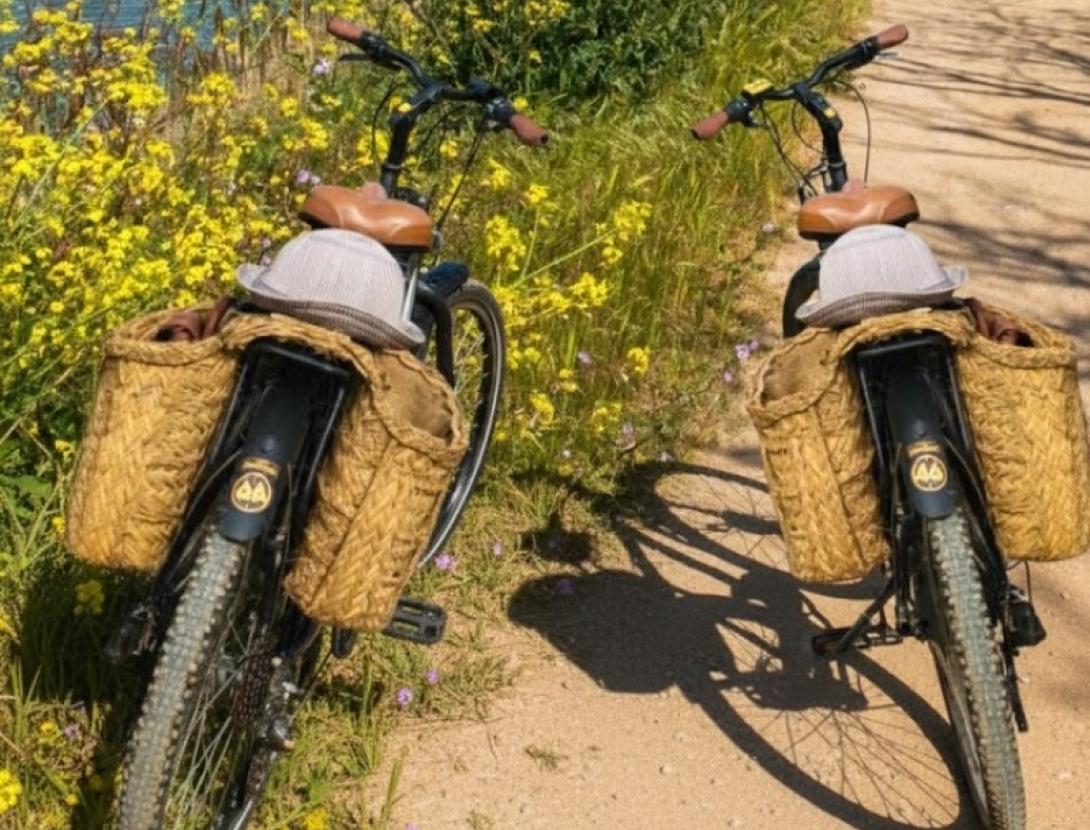 Agroruta en Burricleta elèctrica. Vine a conèixer la pagesia de Sant Vicenç dels Horts