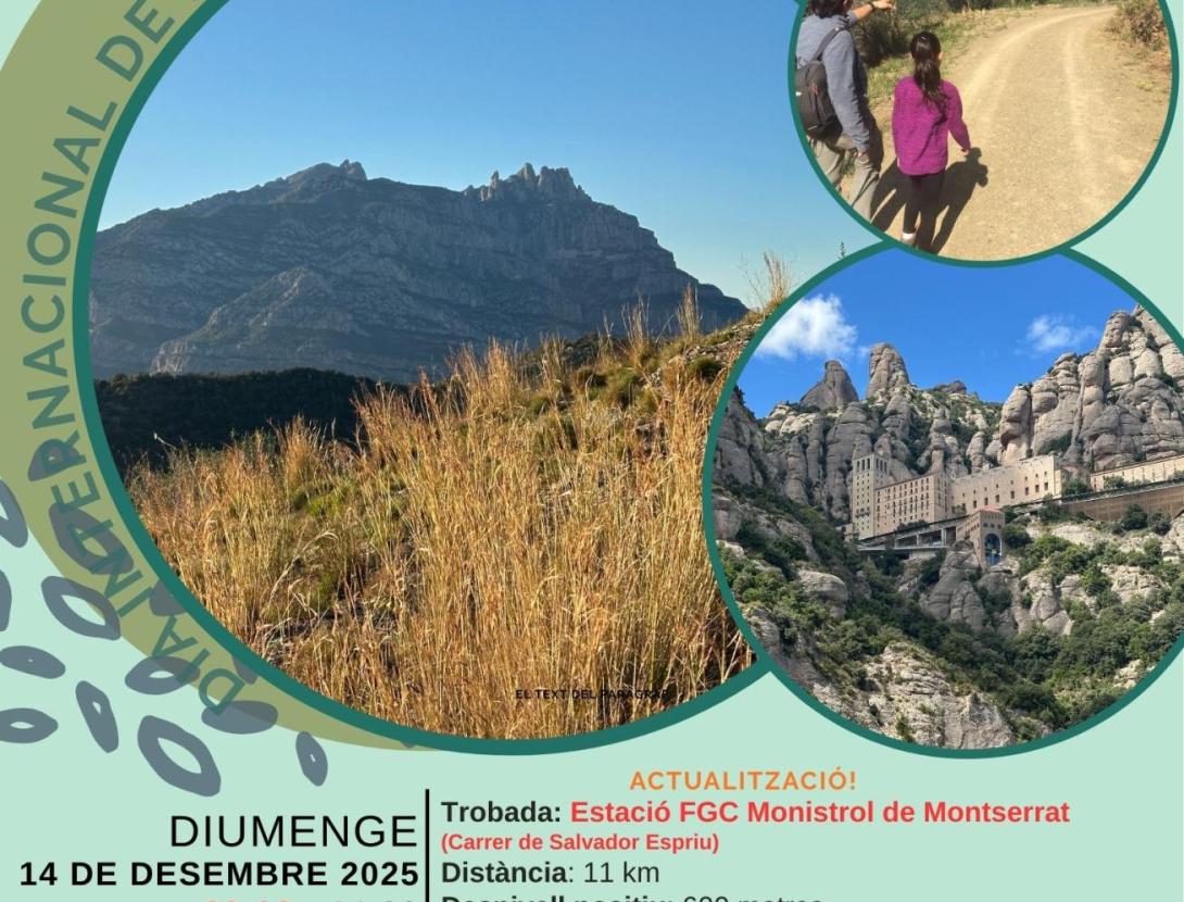 IX Marxa a peu al Monestir de Montserrat