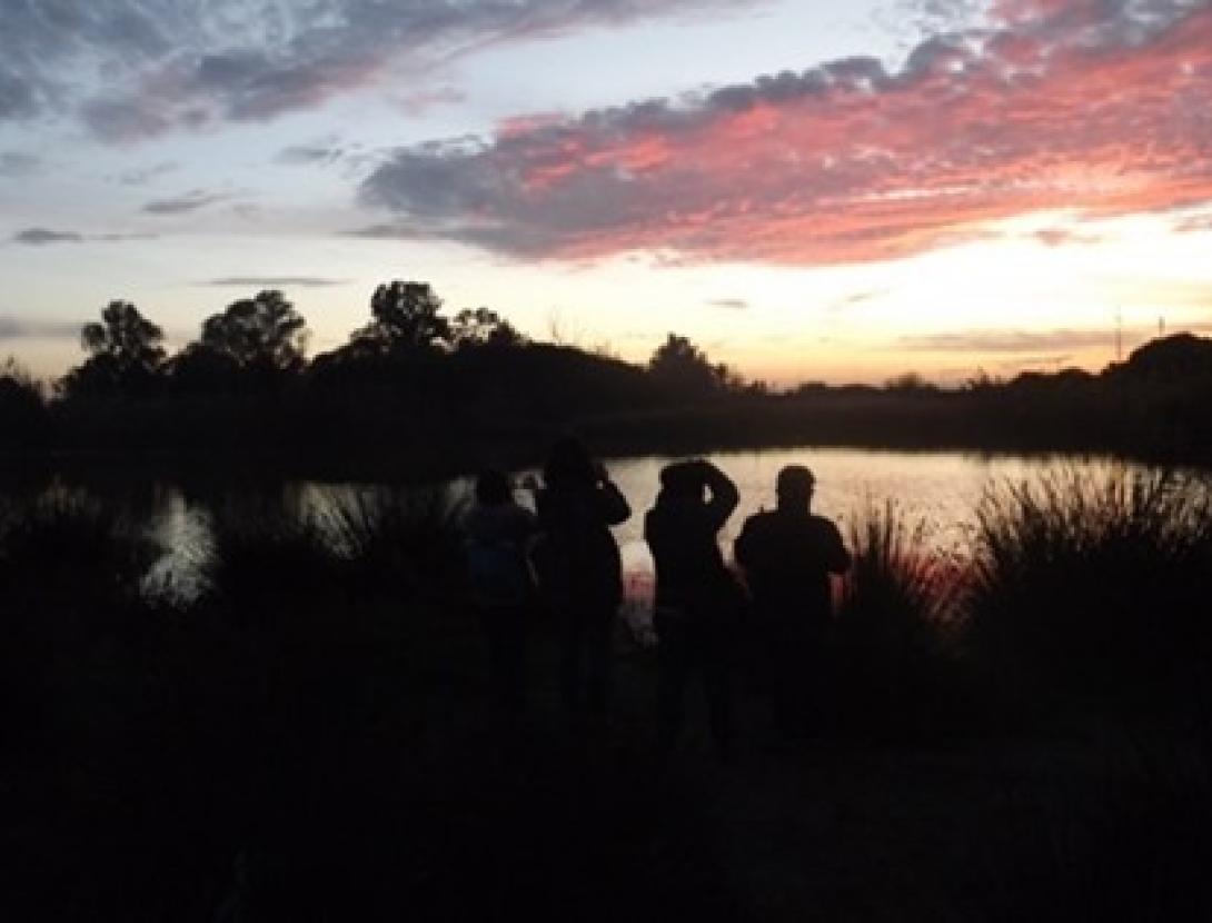 El Crepuscle al Delta El Crepuscle al Delta