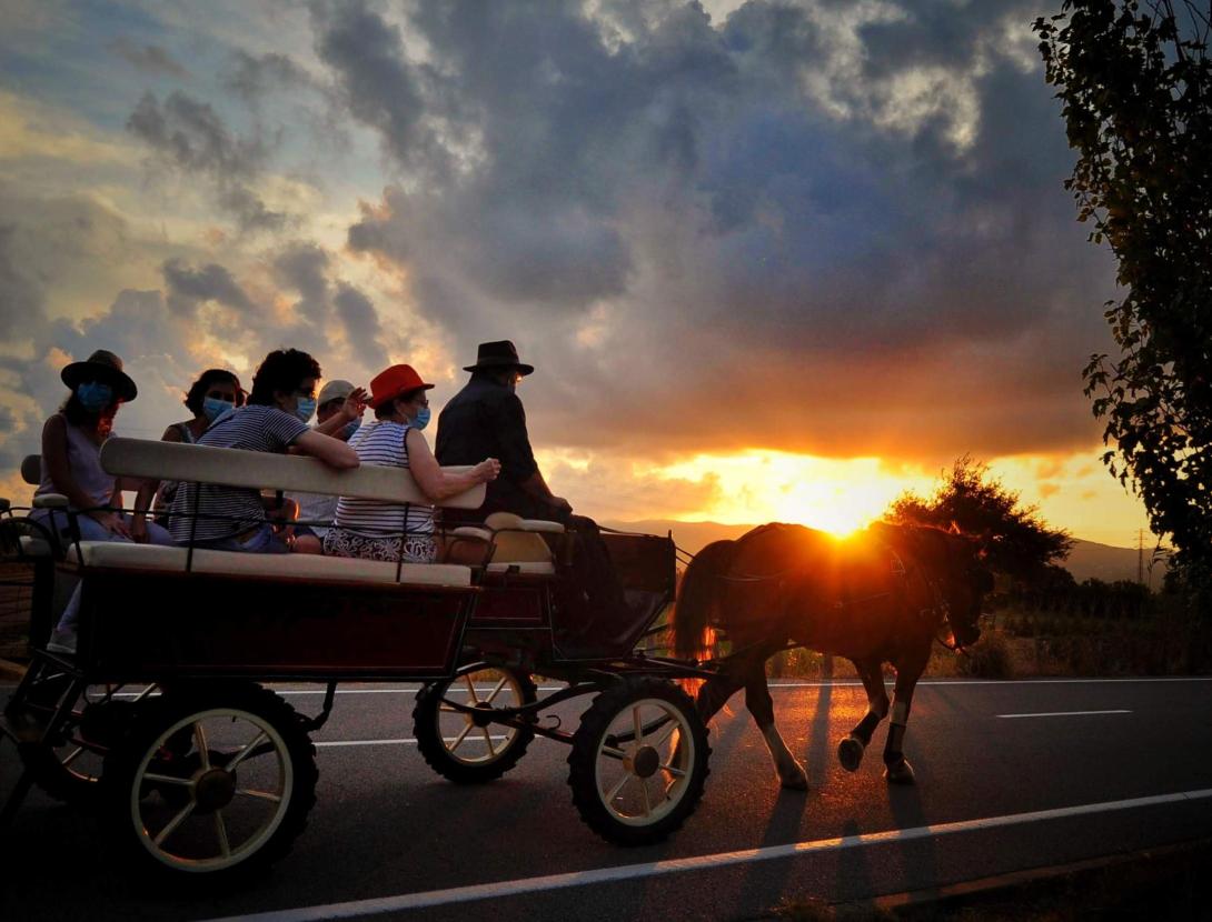 Capvespres en carruatge CAPVESPRES EN CARRUATGE