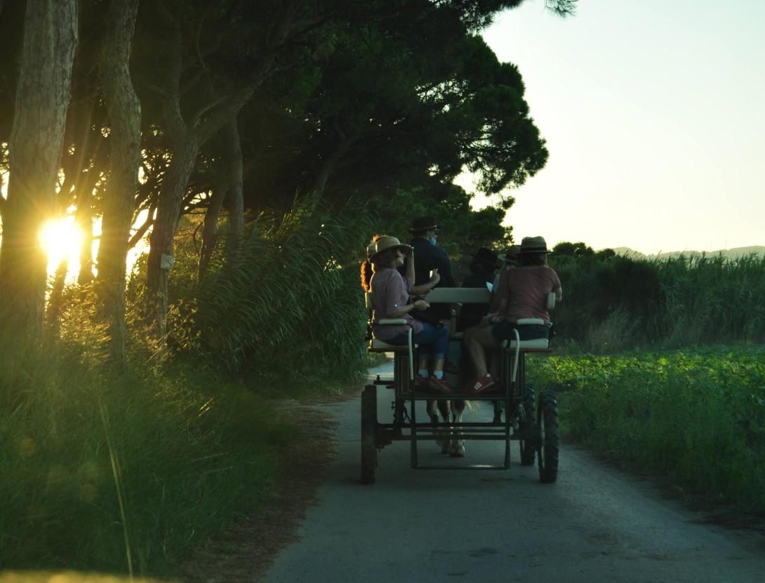 Capvespres en carruatge CAPVESPRES EN CARRUATGE