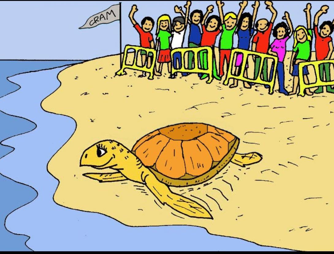 La tortuga floreta LA TORTUGA FLORETA