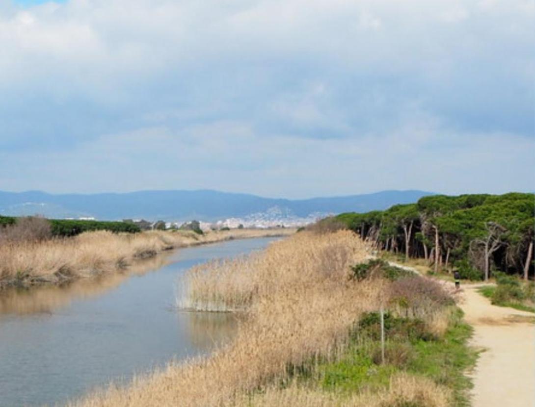 La Travessa de la Comarca La Travessa de la Comarca