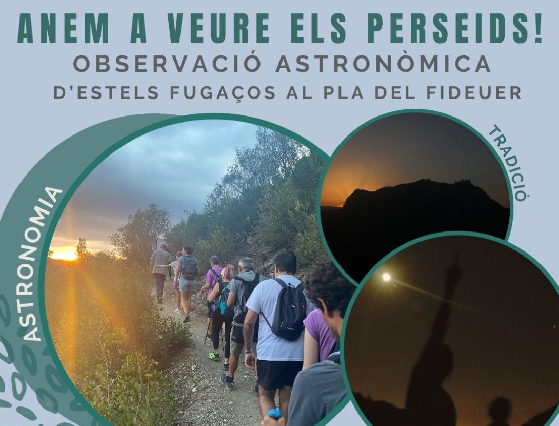 Anem a veure els perseids!