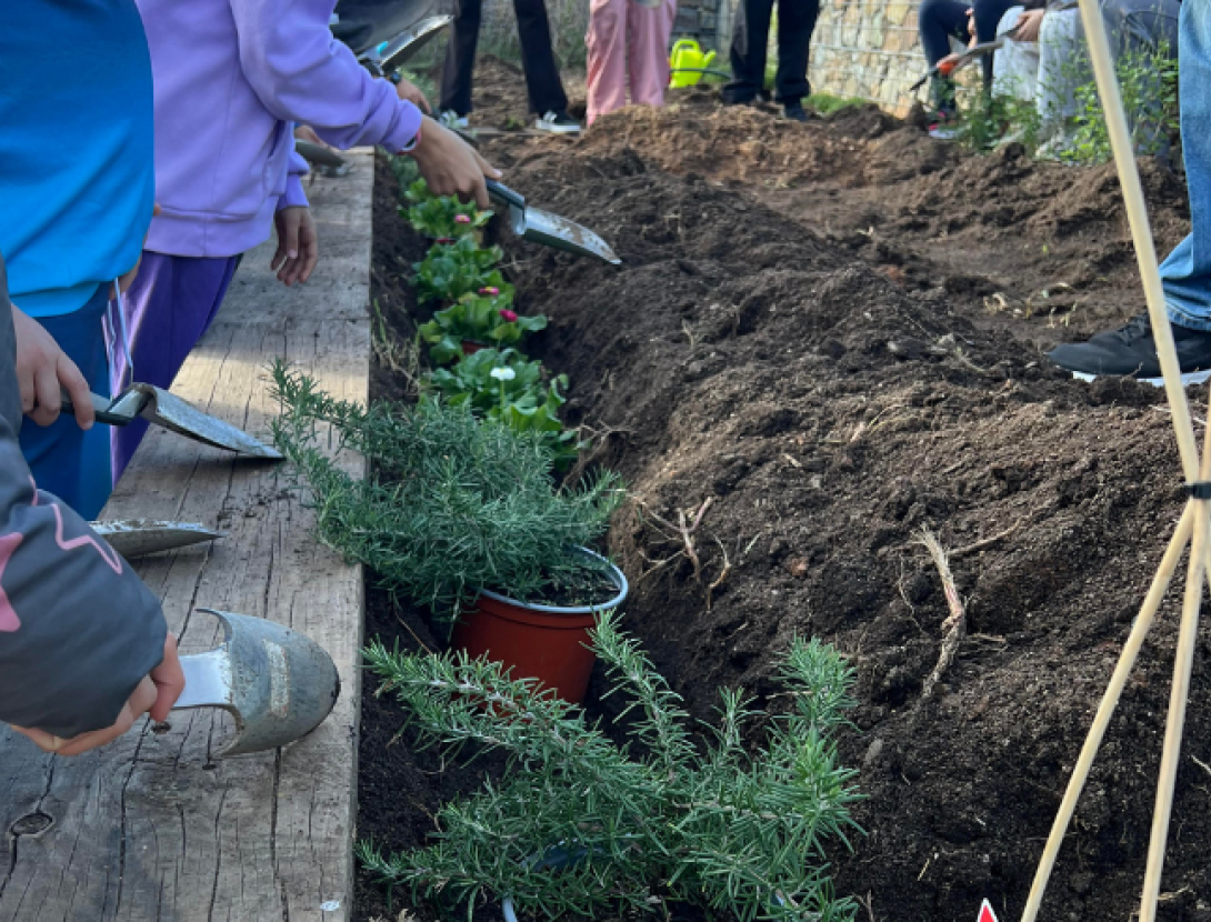 Setmana de la Natura: Taller de plantació