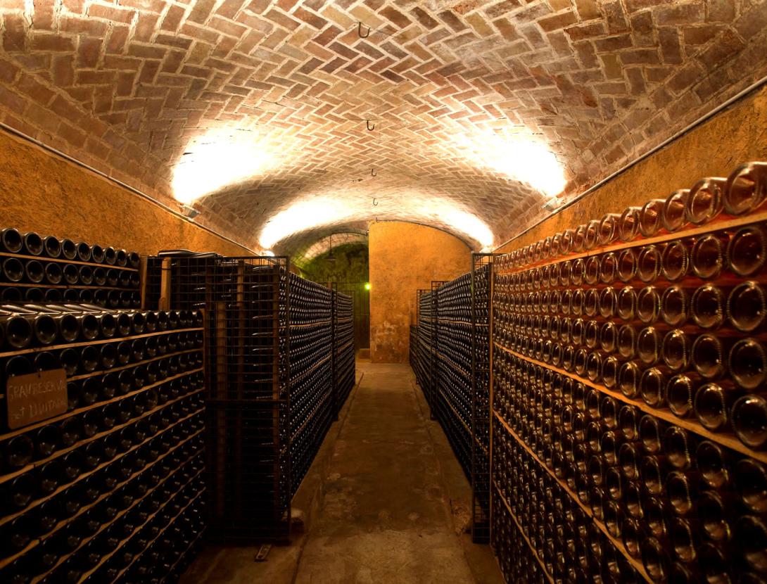 Visita al Celler i Museu del Vi Ramon Canals VISITA AL CELLER I MUSEU DEL VI RAMON CANALS