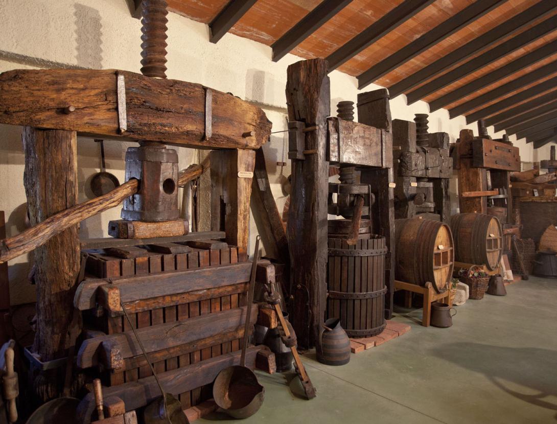 Visita al Celler i Museu del Vi Ramon Canals VISITA AL CELLER I MUSEU DEL VI RAMON CANALS