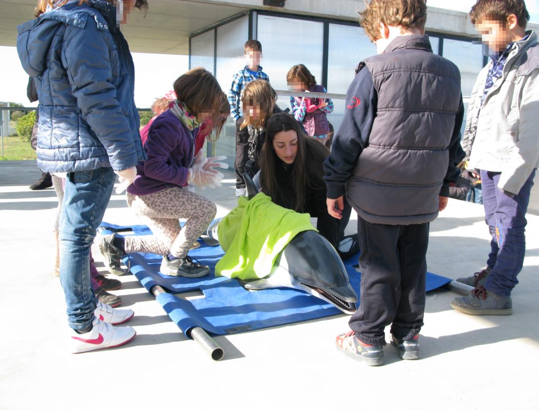 SIMULACRE DE RESCAT D’UN DOFÍ