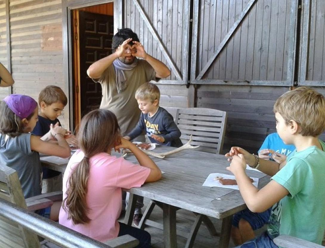 La Fauna Secreta del Bosc