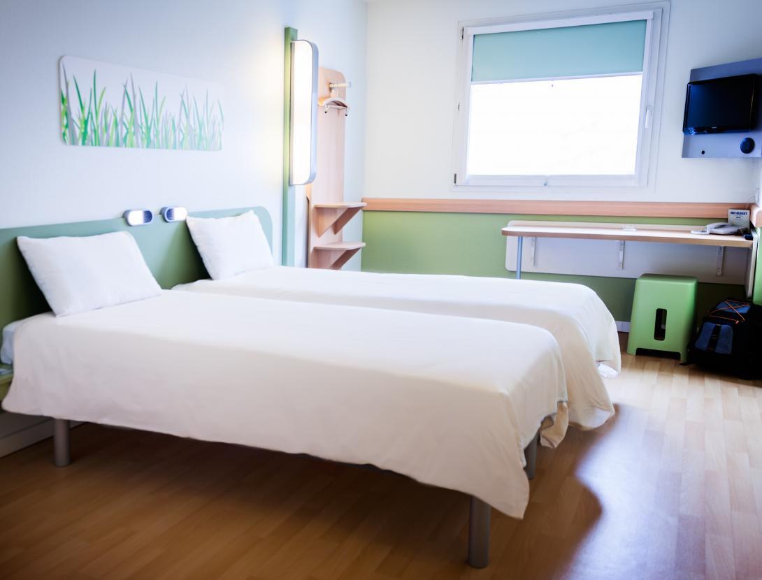 HAb. individual2.jpg