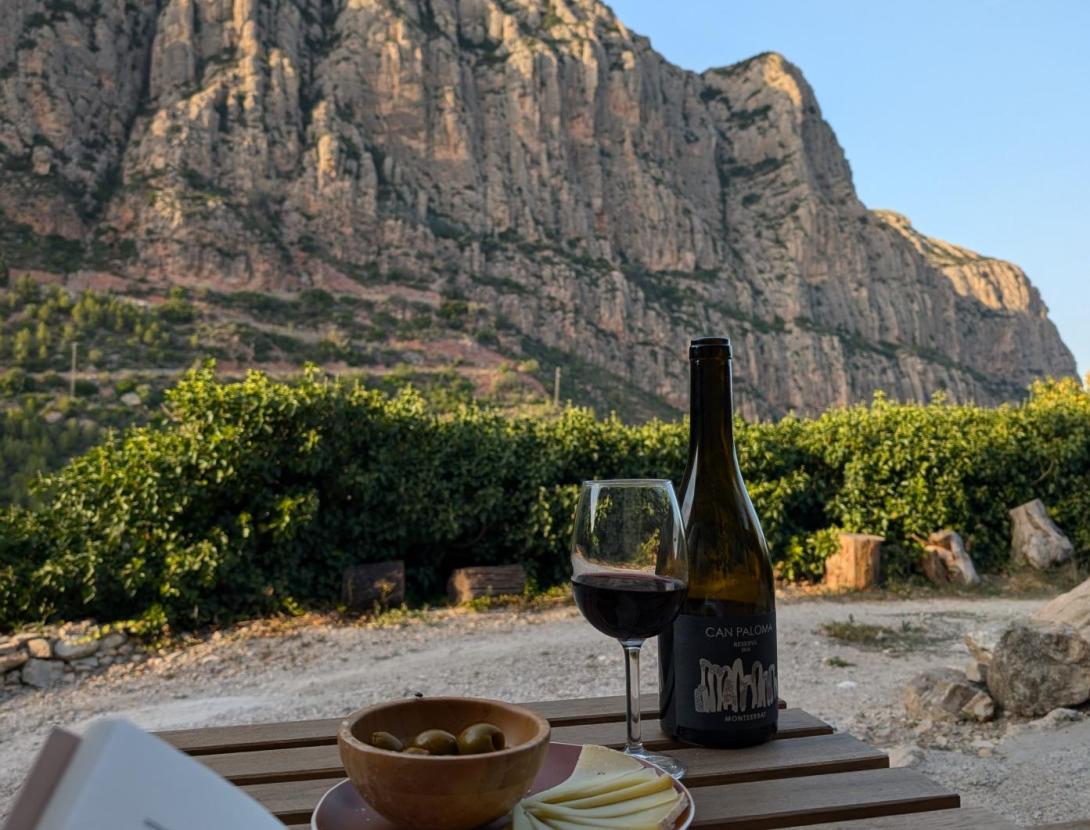 Cal Simon CAL SIMON 14, SL