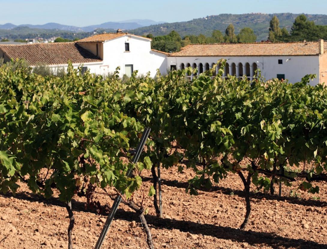 Bodegues Ca n'Estella Bodegues Ca n'Estella