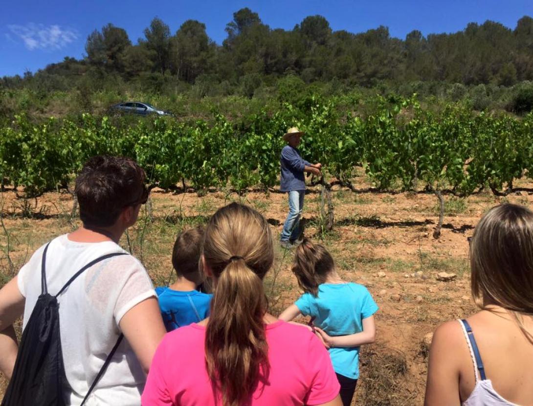Celler Can Morral del Molí Celler Can Morral del Molí