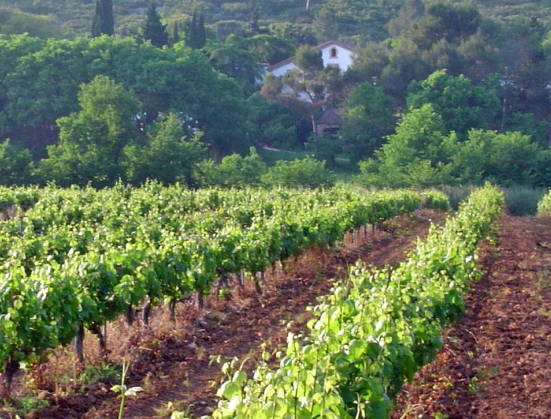 Montau de Sadurní Montau de Sadurní