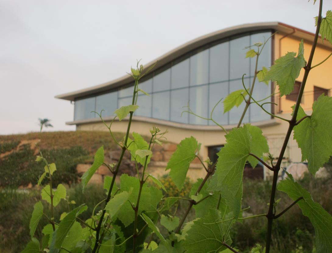 Can Casals Can Casals