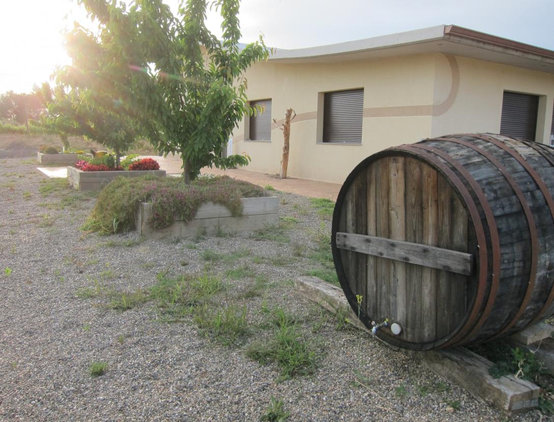 Can Casals Can Casals