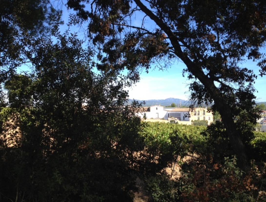 Bodegues Ca n'Estella Bodegues Ca n'Estella