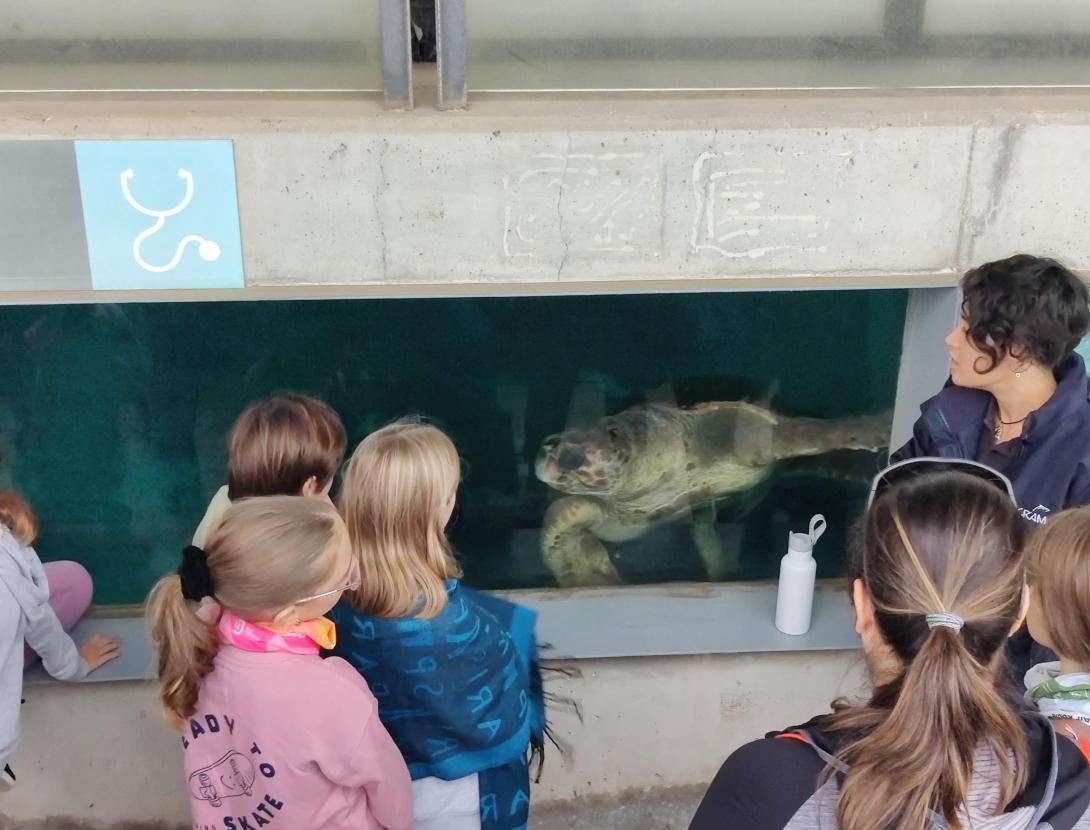 Realitzada la jornada de neteja de la platja del Prat en el marc del SostiBaix Realitzada la jornada de neteja de platja del Prat organitzada pel SostiBaix