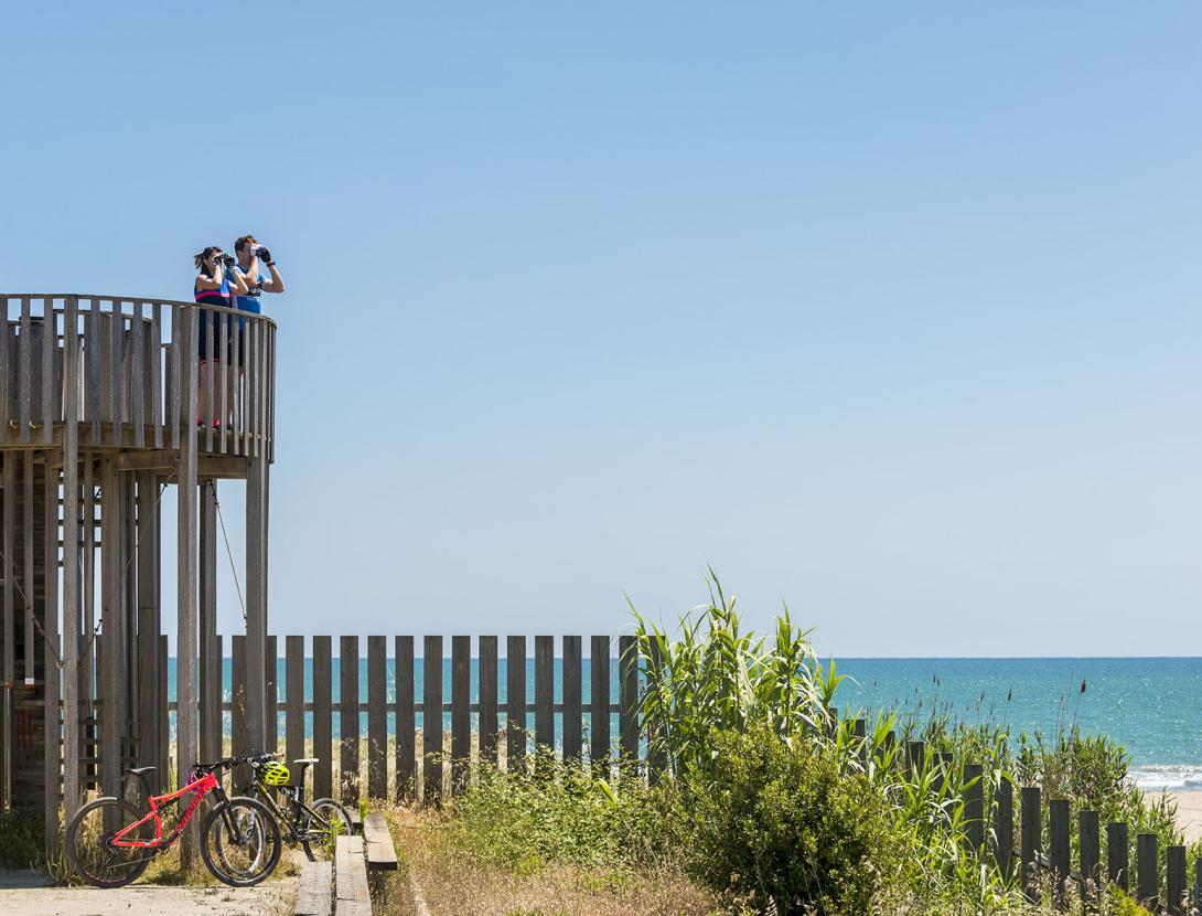 Les platges, les compres i les visites culturals, principals atractius pels turistes del Baix Llobregat Les platges, les compres i les visites culturals, principals atractius pels turistes del Baix Llobregat