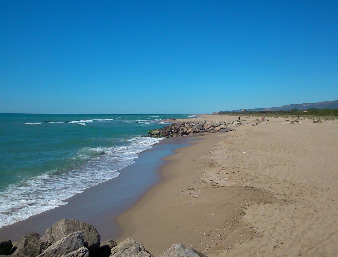 Platja de la Pineda de Cal Francès - Viladecans.JPG Platja de la Pineda de Cal Francès - Viladecans.JPG