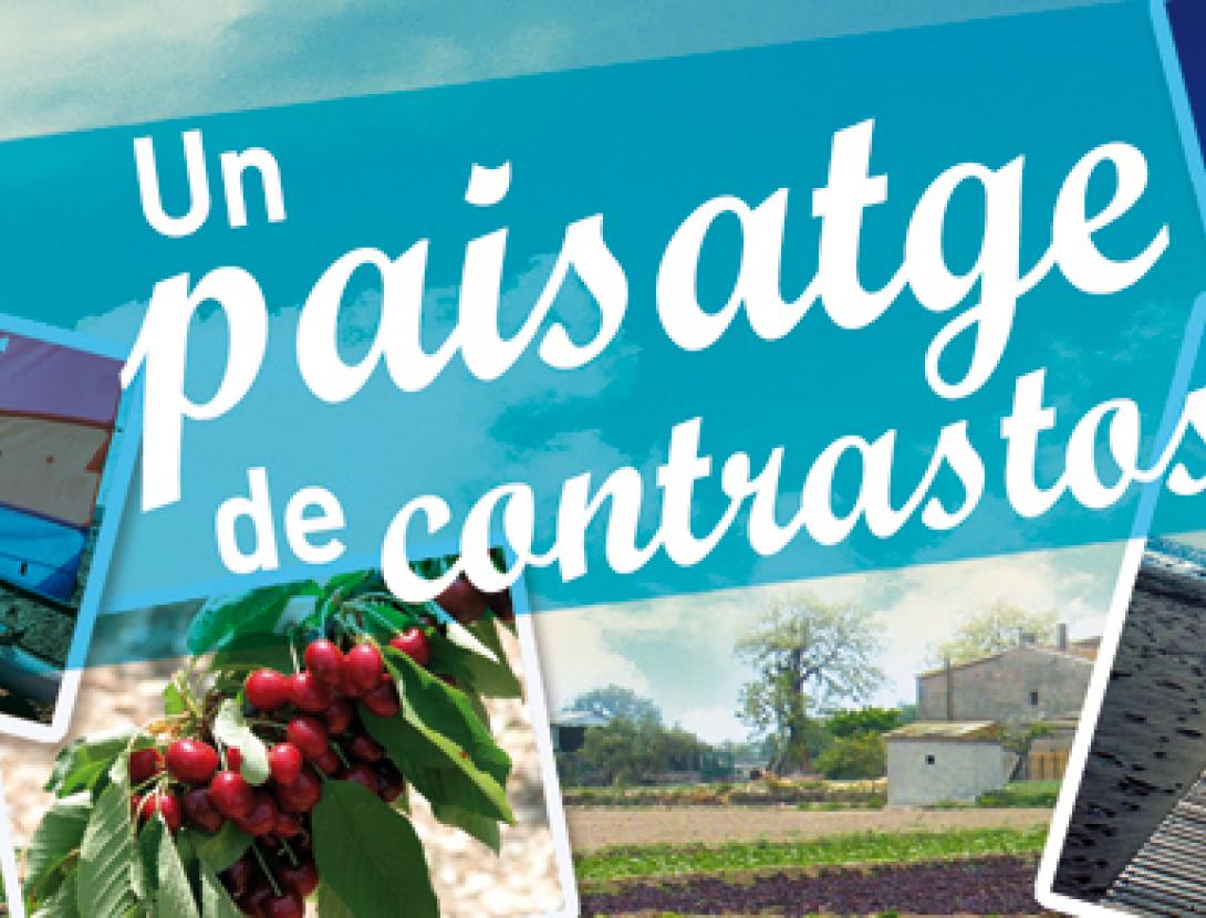 PORTADA WEB.jpg