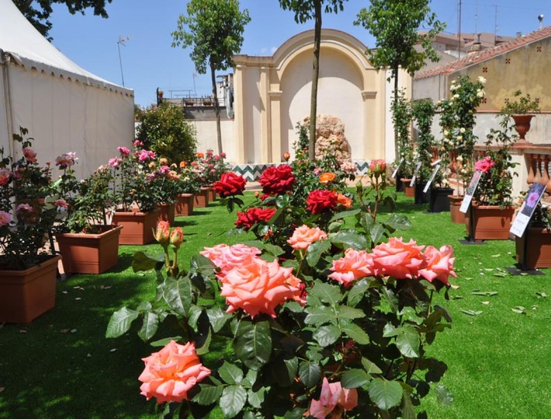 Exposició Nacional de Roses de Sant Feliu de Llobregat