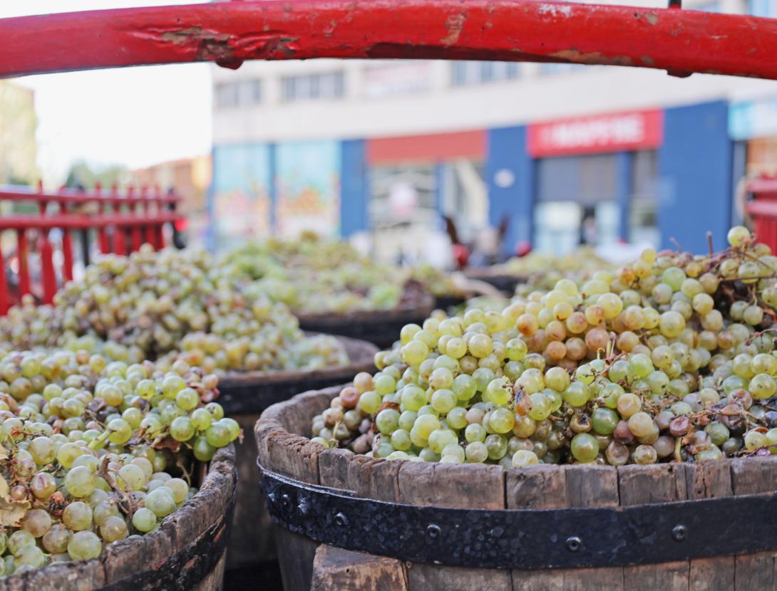 Festa del Roser a Martorell Festa del Roser a Martorell