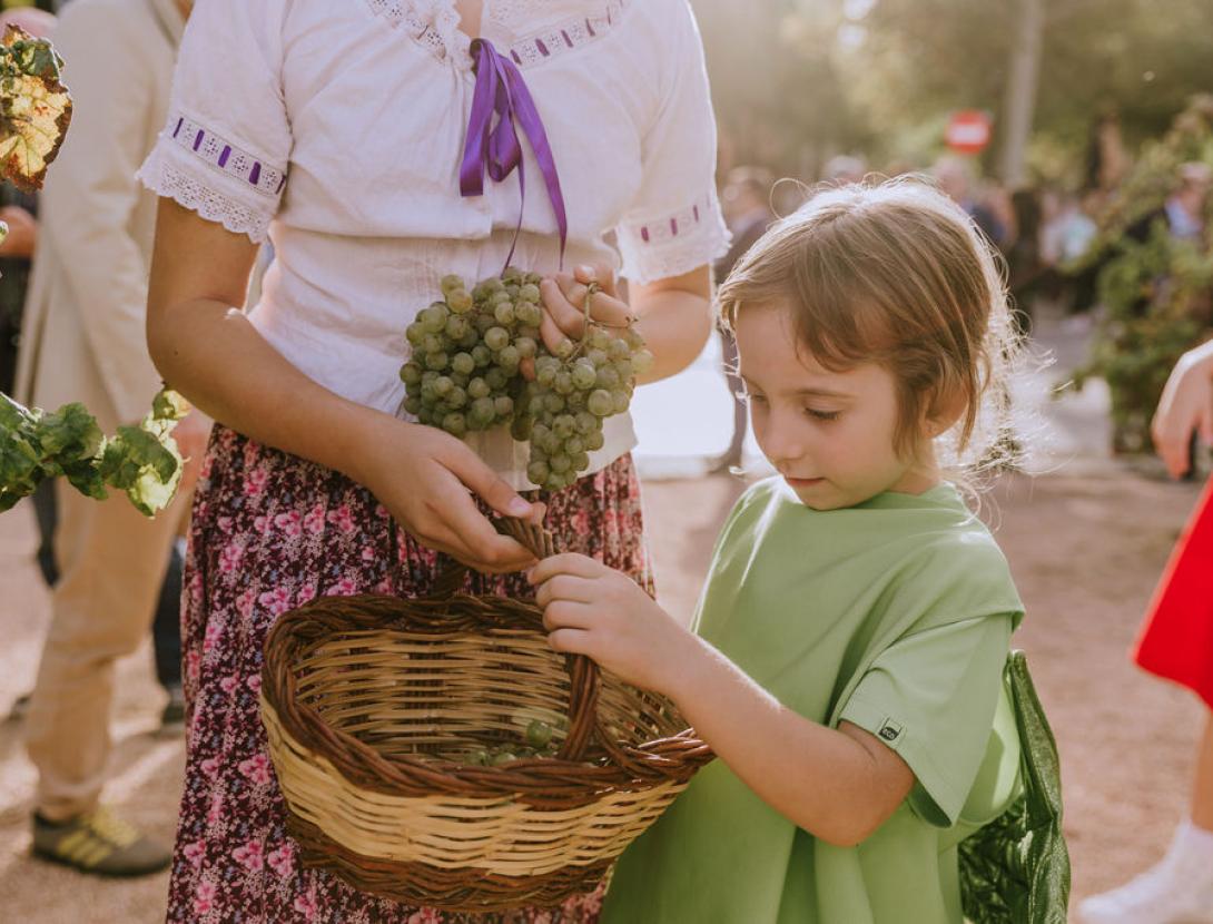 Festa del Roser a Martorell Festa del Roser a Martorell