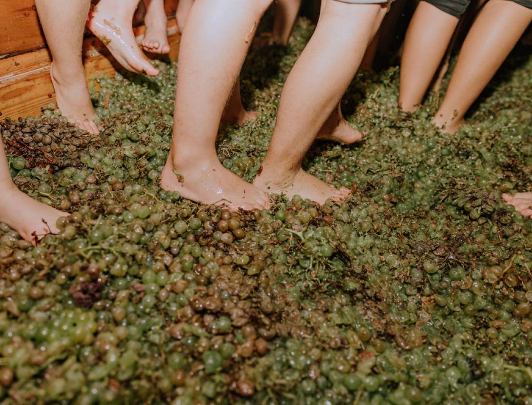 Festa del Roser a Martorell Festa del Roser a Martorell