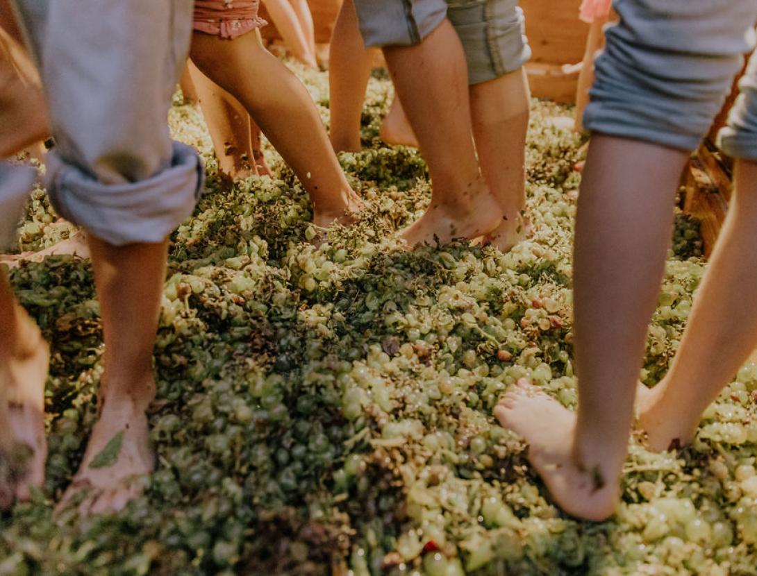 Festa del Roser a Martorell Festa del Roser a Martorell