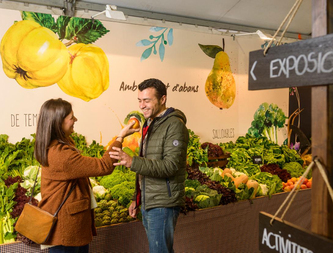 Fira de la Puríssima de Sant Boi Fira de la Puríssima de Sant Boi