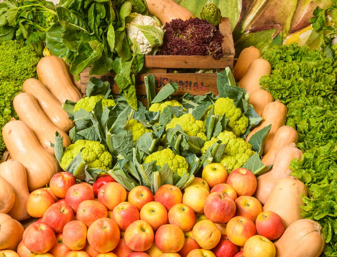 Fira de la Puríssima de Sant Boi Fira de la Puríssima de Sant Boi