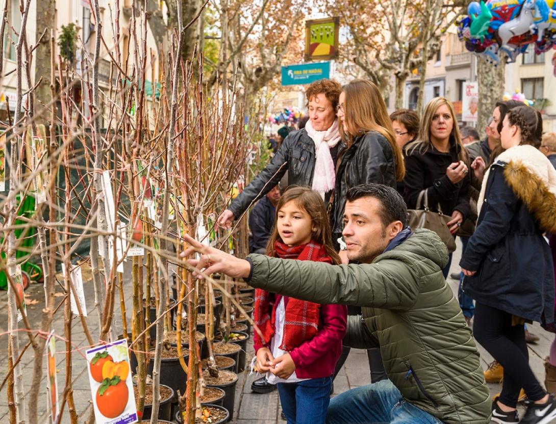 Fira de la Puríssima de Sant Boi Fira de la Puríssima de Sant Boi