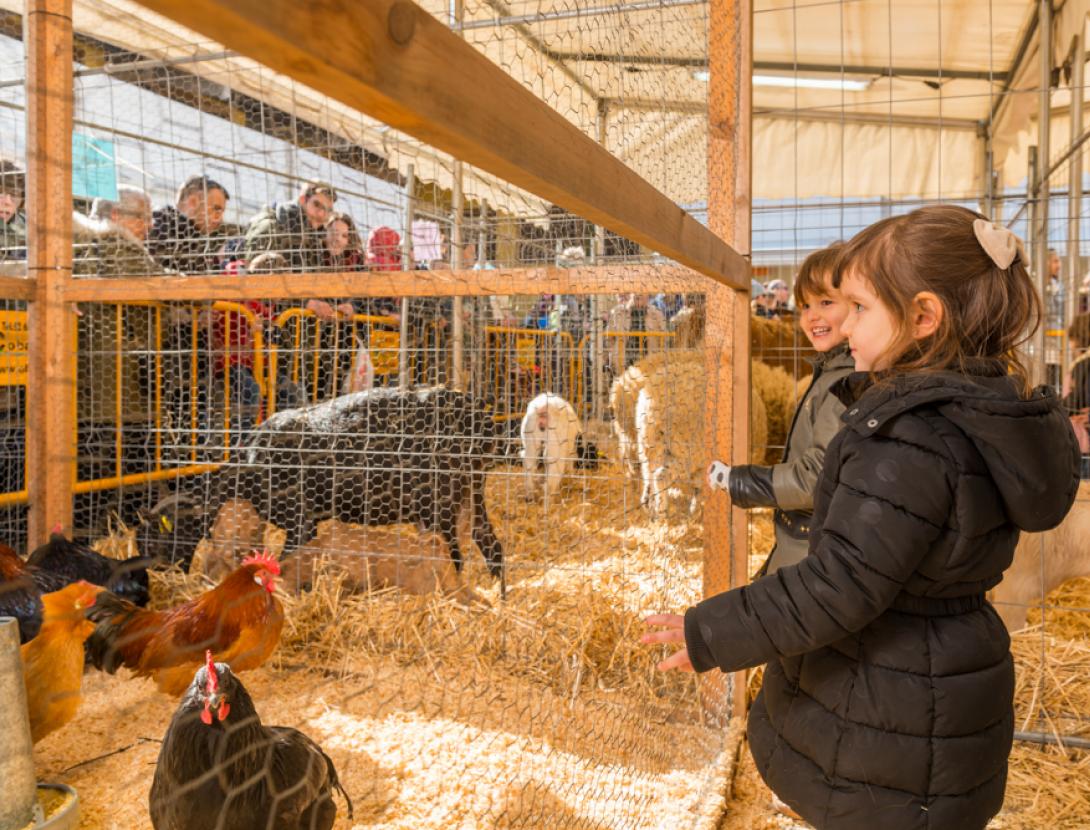 Fira de la Candelera de Molins de Rei Fira de la Candelera de Molins de Rei