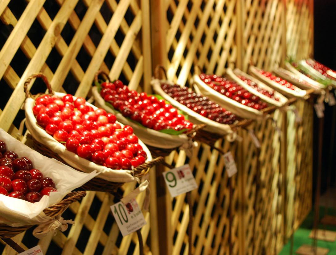 Festa de la cirera de Torrelles de Llobregat Festa de la cirera de Torrelles de Llobregat