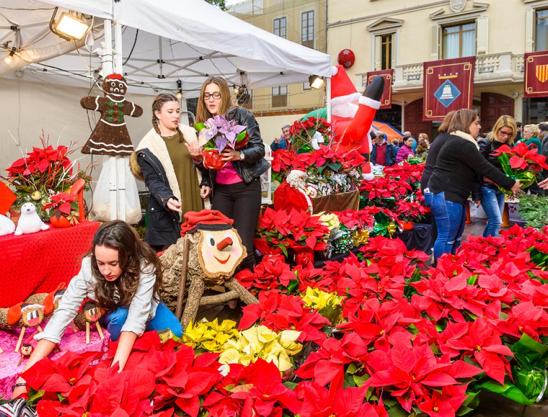 Fira de la Puríssima de Sant Boi Fira de la Puríssima de Sant Boi