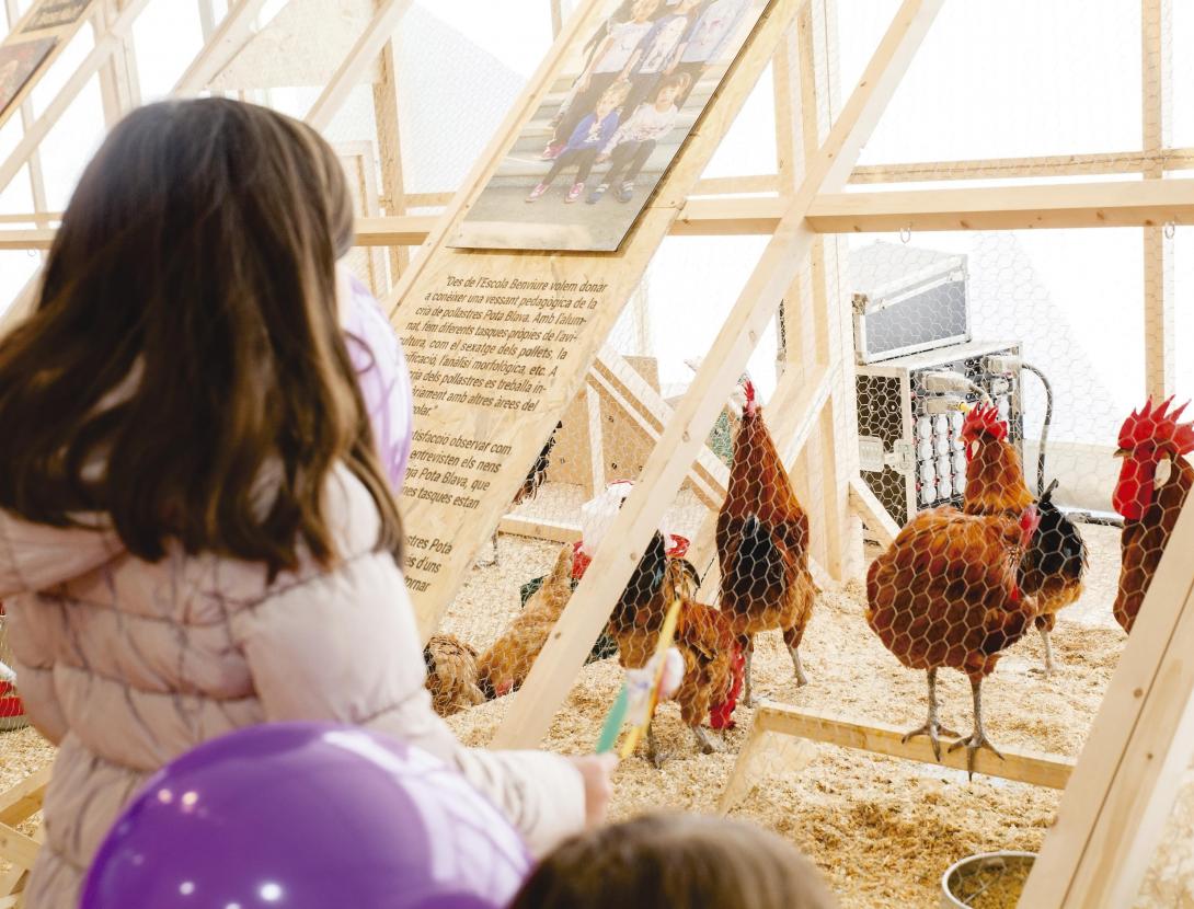 Fira Avícola Raça Prat al Prat de Llobregat Fira Avícola Raça Prat al Prat de Llobregat