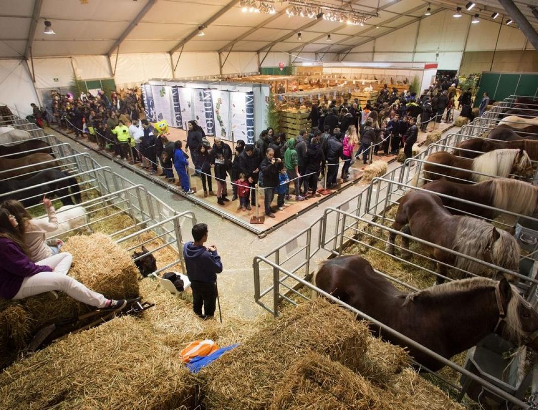 Fira Avícola Raça Prat al Prat de Llobregat Fira Avícola Raça Prat al Prat de Llobregat