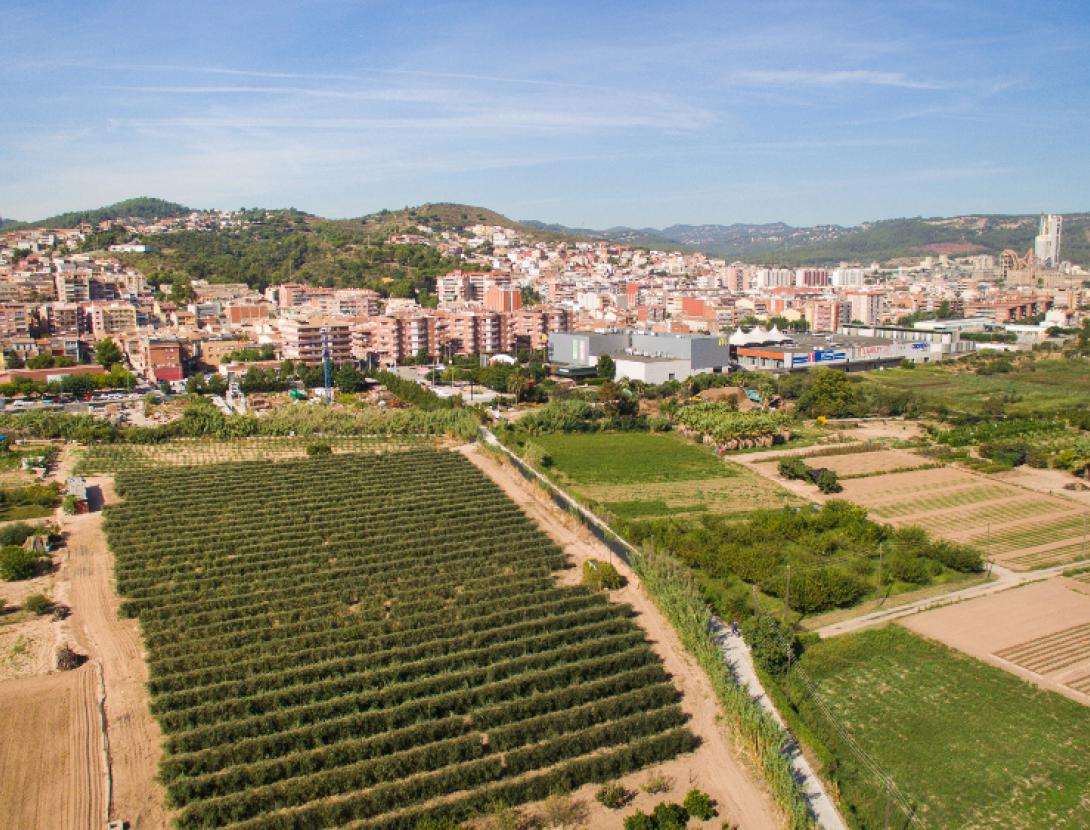 Mostra comercial i agrícola de Sant Vicenç dels Horts Mostra comercial i agrícola de Sant Vicenç dels Horts