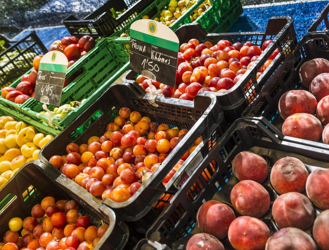 Mercado de payés de Esplugues