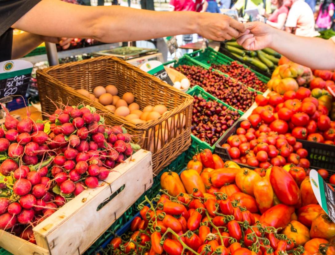 Mercado de Payés de Gavà Mercado de Payés de Gavà