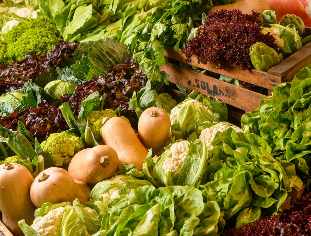 Mercado de Payéss de Gavà Mercado de Payés de Gavà