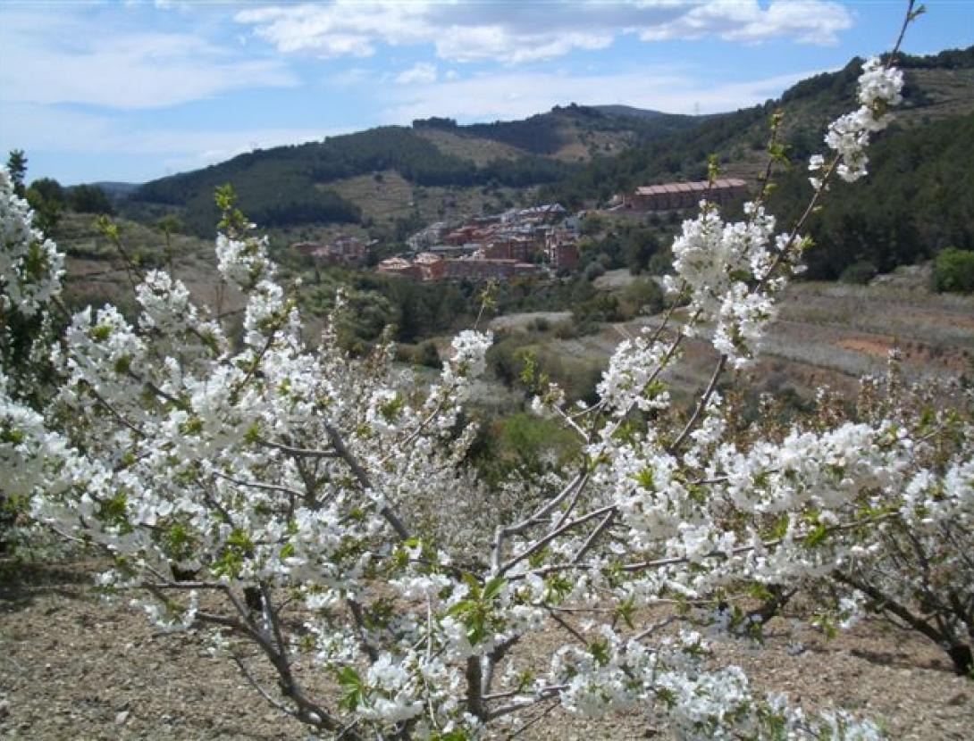 Sant Climent de Llobregat Sant Climent de Llobregat