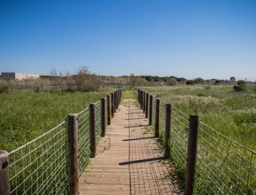 Can Camins. Oficina de Turismo del Prat Can Camins. Oficina de Turismo del Prat