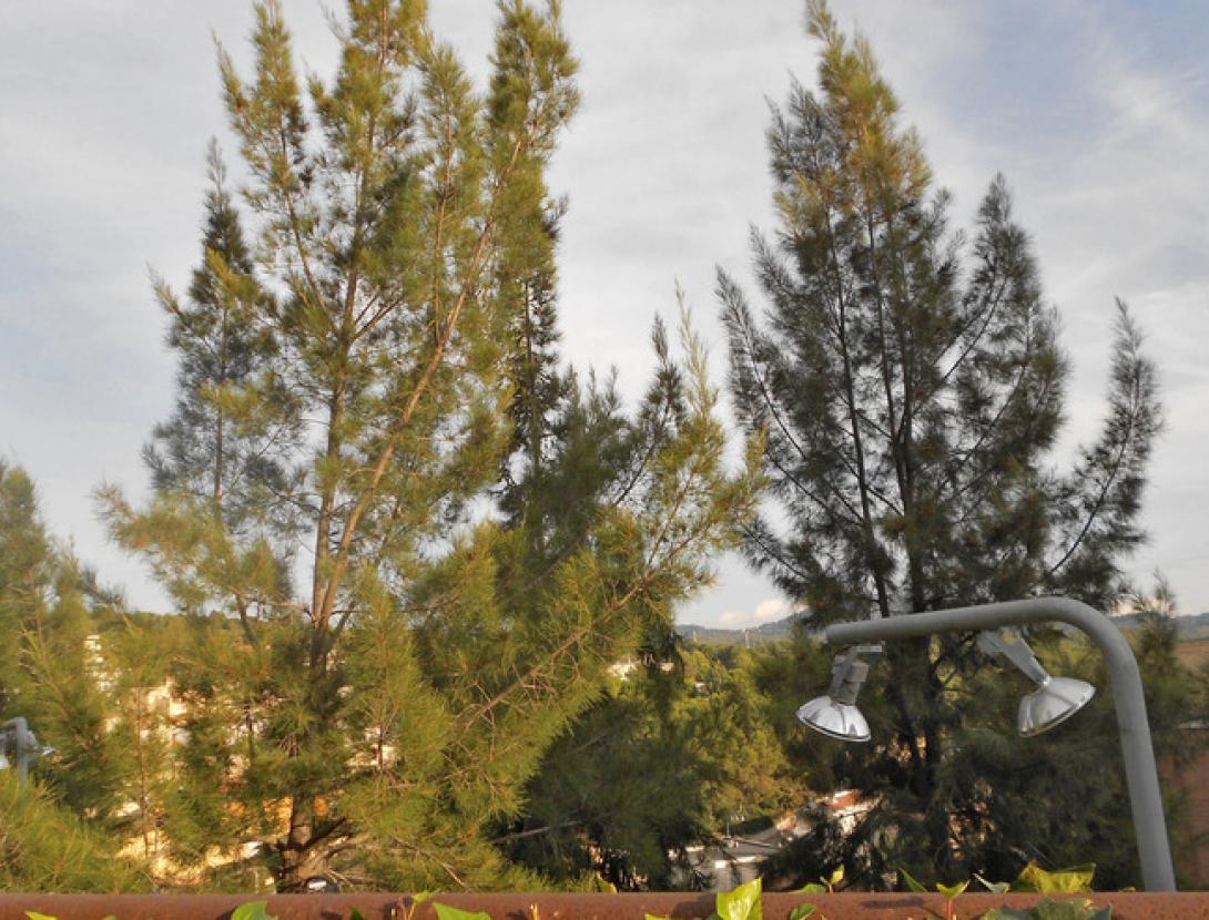 © Arxiu imatges AMB © Arxiu imatges AMB